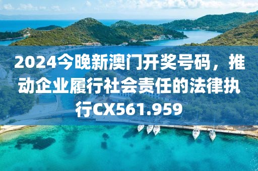 2024今晚新澳门开奖号码，推动企业履行社会责任的法律执行CX561.959