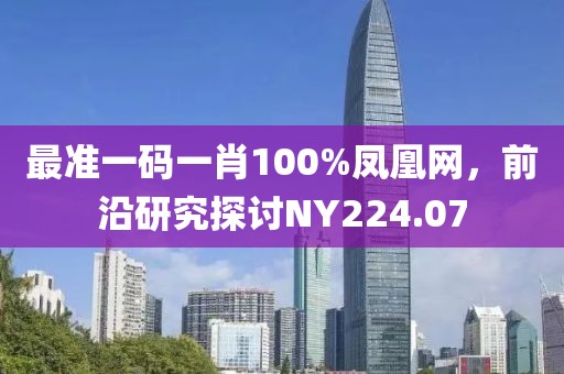 最准一码一肖100%凤凰网，前沿研究探讨NY224.07