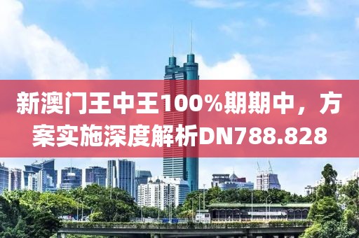 新澳门王中王100%期期中，方案实施深度解析DN788.828