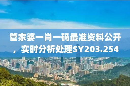 管家婆一肖一码最准资料公开，实时分析处理SY203.254