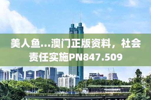 美人鱼…澳门正版资料，社会责任实施PN847.509