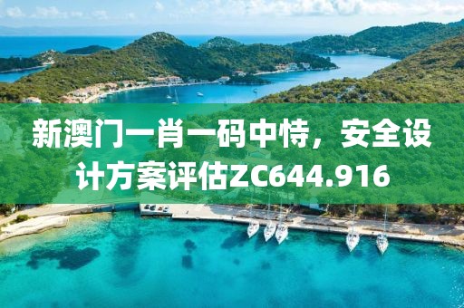 新澳门一肖一码中恃，安全设计方案评估ZC644.916