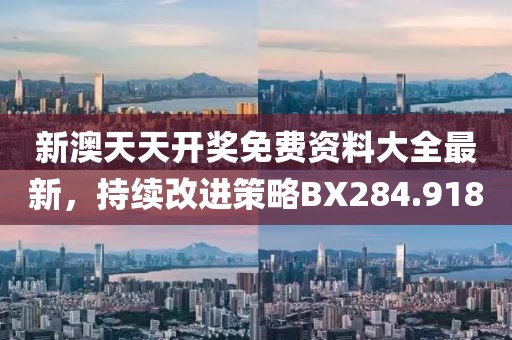 新澳天天开奖免费资料大全最新，持续改进策略BX284.918