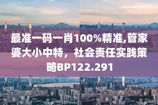 最准一码一肖100%精准,管家婆大小中特，社会责任实践策略BP122.291