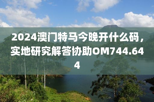 2024澳门特马今晚开什么码，实地研究解答协助OM744.644