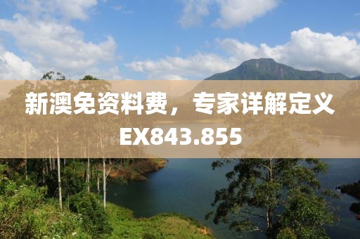 新澳免资料费，专家详解定义EX843.855