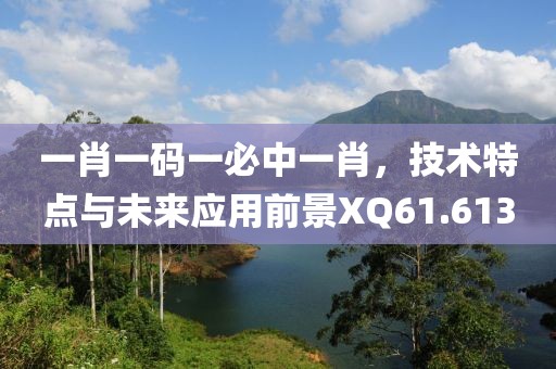 一肖一码一必中一肖，技术特点与未来应用前景XQ61.613