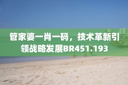管家婆一肖一码，技术革新引领战略发展BR451.193