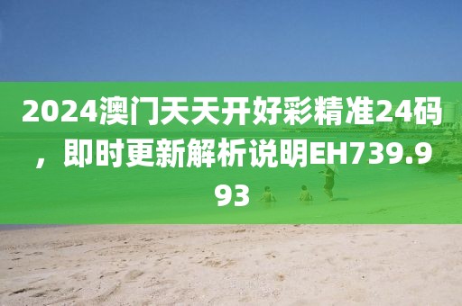 2024澳门天天开好彩精准24码，即时更新解析说明EH739.993