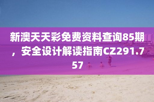 新澳天天彩免费资料查询85期，安全设计解读指南CZ291.757