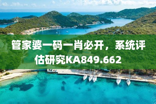 管家婆一码一肖必开，系统评估研究KA849.662