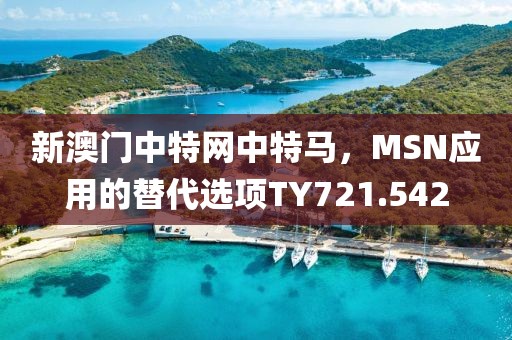 新澳门中特网中特马，MSN应用的替代选项TY721.542