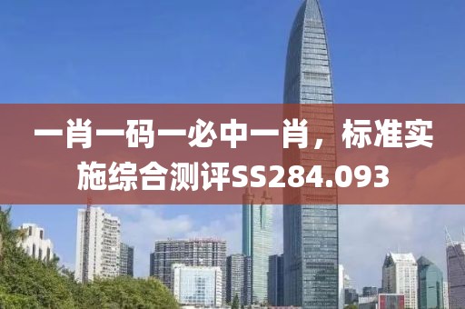 一肖一码一必中一肖，标准实施综合测评SS284.093