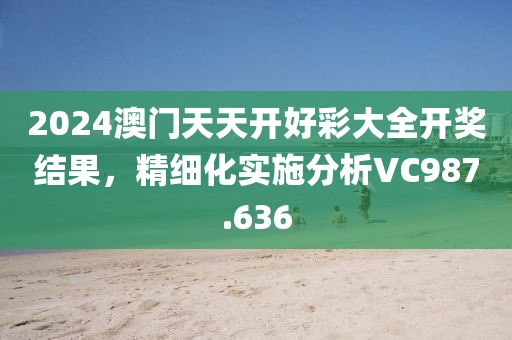 2024澳门天天开好彩大全开奖结果，精细化实施分析VC987.636