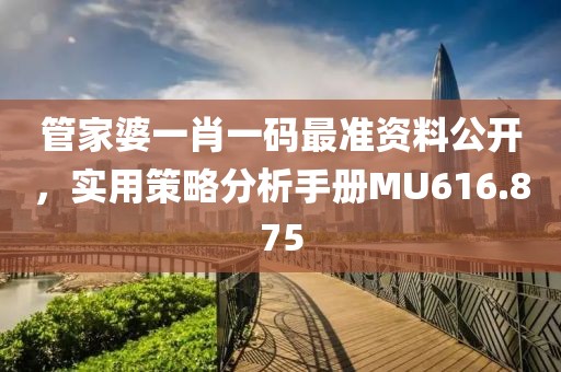 管家婆一肖一码最准资料公开，实用策略分析手册MU616.875