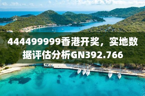 444499999香港开奖，实地数据评估分析GN392.766