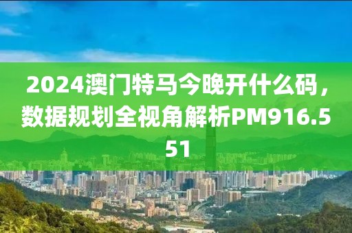 2024澳门特马今晚开什么码，数据规划全视角解析PM916.551