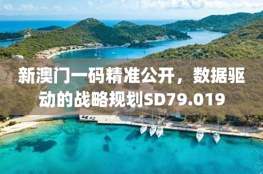 新澳门一码精准公开，数据驱动的战略规划SD79.019
