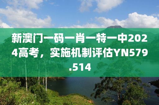 新澳门一码一肖一特一中2024高考，实施机制评估YN579.514