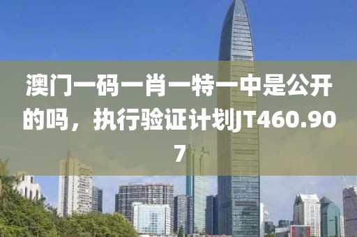 澳门一码一肖一特一中是公开的吗，执行验证计划JT460.907