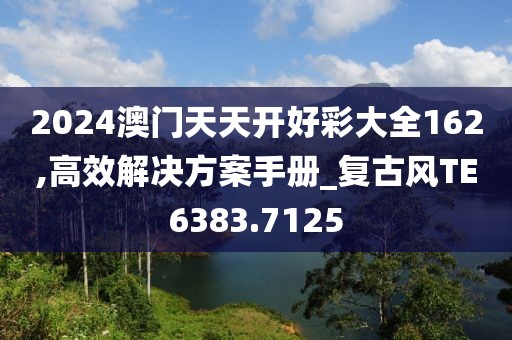 2024澳门天天开好彩大全162,高效解决方案手册_复古风TE6383.7125