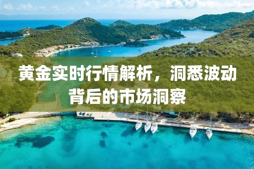 黄金实时行情解析，洞悉波动背后的市场洞察