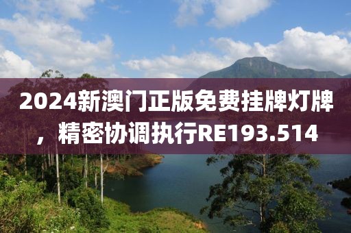 2024新澳门正版免费挂牌灯牌，精密协调执行RE193.514