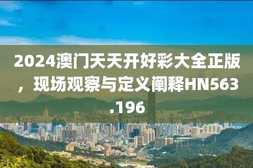 2024澳门天天开好彩大全正版，现场观察与定义阐释HN563.196