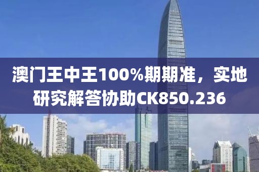 澳门王中王100%期期准，实地研究解答协助CK850.236