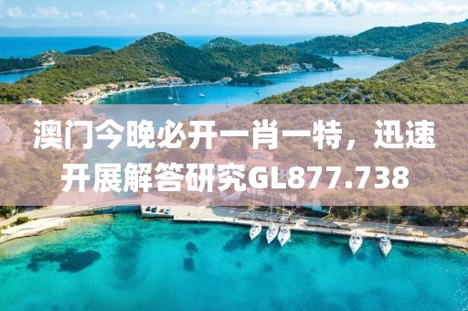 澳门今晚必开一肖一特，迅速开展解答研究GL877.738