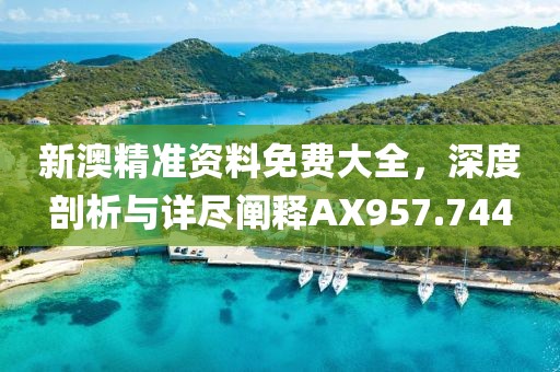 新澳精准资料免费大全，深度剖析与详尽阐释AX957.744