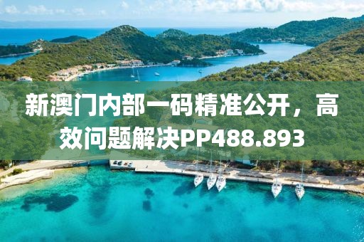 新澳门内部一码精准公开，高效问题解决PP488.893