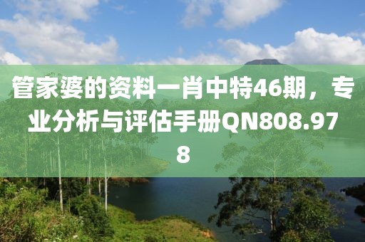 管家婆的资料一肖中特46期，专业分析与评估手册QN808.978