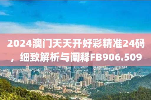 2024澳门天天开好彩精准24码，细致解析与阐释FB906.509