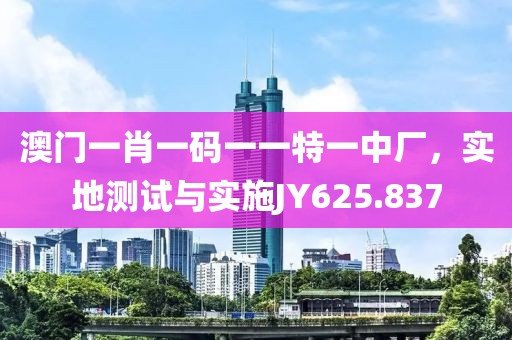 澳门一肖一码一一特一中厂，实地测试与实施JY625.837