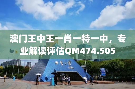 澳门王中王一肖一特一中，专业解读评估QM474.505