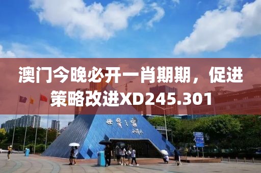 澳门今晚必开一肖期期，促进策略改进XD245.301