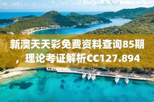 新澳天天彩免费资料查询85期，理论考证解析CC127.894