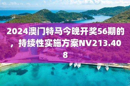 2024澳门特马今晚开奖56期的，持续性实施方案NV213.408