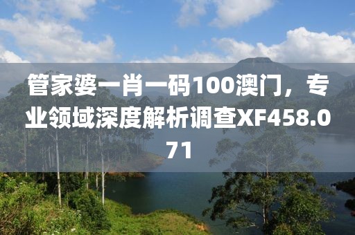 管家婆一肖一码100澳门，专业领域深度解析调查XF458.071