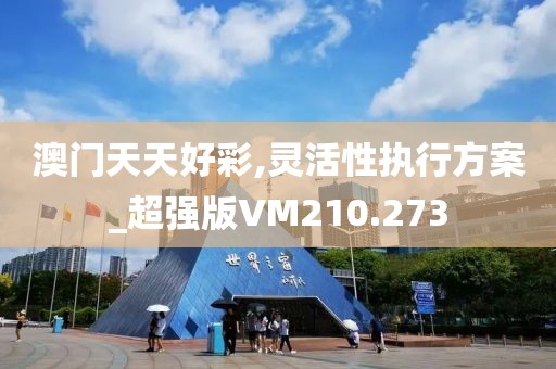 澳门天天好彩,灵活性执行方案_超强版VM210.273