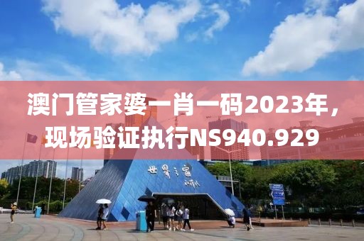 澳门管家婆一肖一码2023年，现场验证执行NS940.929