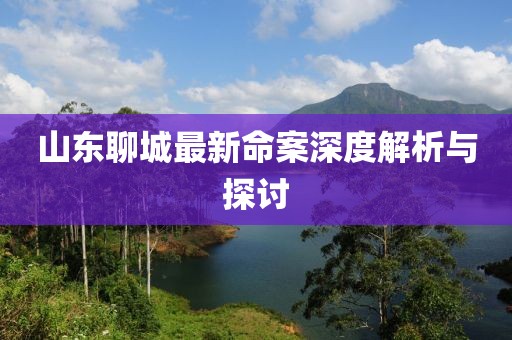 山东聊城最新命案深度解析与探讨