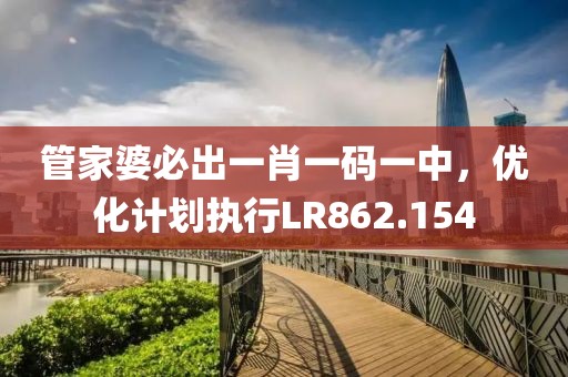 管家婆必出一肖一码一中，优化计划执行LR862.154