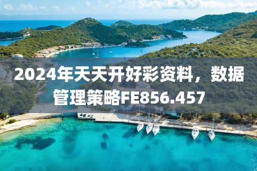 2024年天天开好彩资料，数据管理策略FE856.457