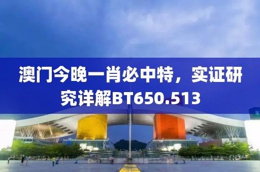 澳门今晚一肖必中特，实证研究详解BT650.513
