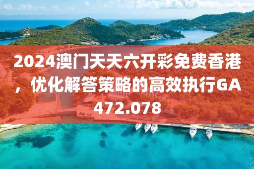 2024澳门天天六开彩免费香港，优化解答策略的高效执行GA472.078