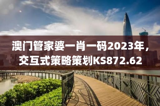 澳门管家婆一肖一码2023年，交互式策略策划KS872.62