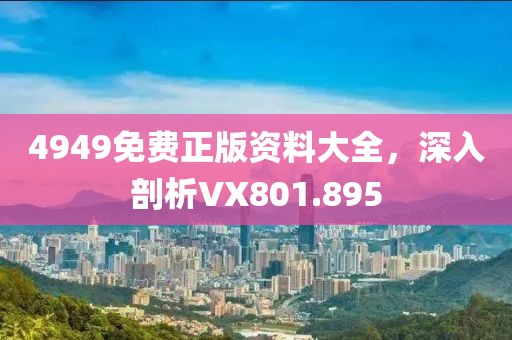 4949免费正版资料大全，深入剖析VX801.895