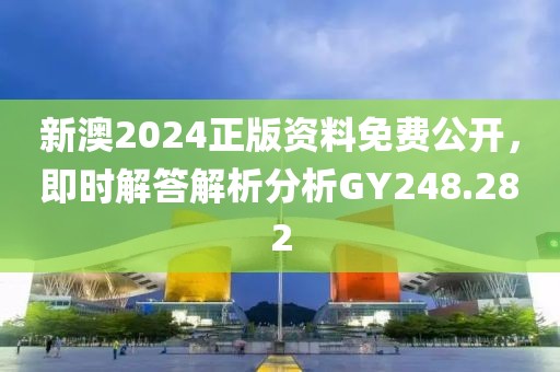 新澳2024正版资料免费公开，即时解答解析分析GY248.282